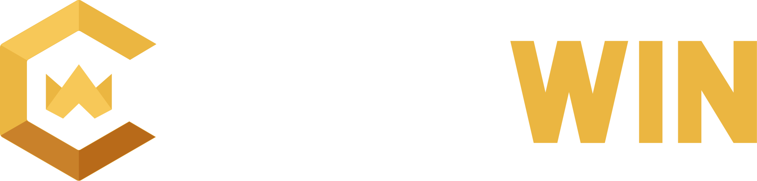 CSGO Win